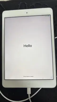 iPad mini2 箱無し