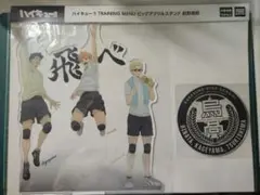 ハイキュー TRAINING MENU ビッグアクリルスタンド 烏野高校