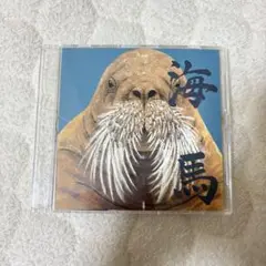 炙りなタウン　海馬