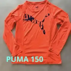 PUMA オレンジ ロンＴ150 ラッシュガード兼用