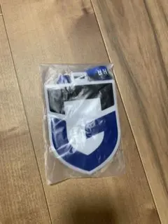 ガンバ大阪 パスケース、カードケース