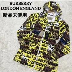 Item thumbnail for item 15fba0e5-a811-4c89-8d65-e061742a561d