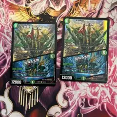 地龍神 ロマネアース 2枚セット