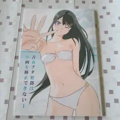 C106　たむらみかん　田村里美　青春ブタ野郎は作画を修正できない1