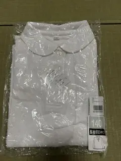 Item thumbnail for item 623dd521-ea2e-41ad-ba1c-7e097b831e76