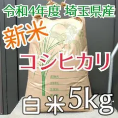 美味しいお米 令和4年 埼玉県産 コシヒカリ 白米 5kg 送料無料