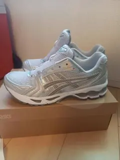ASICS ゲルカヤノ14