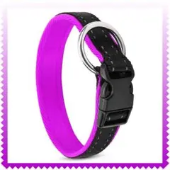 Item thumbnail for item d506154c-4ac1-42ce-8676-f3d07d55c83d