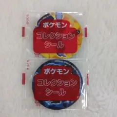 ポケモンヌードル シール ソウブレイズ メガリザードンX