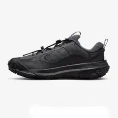 NIKE ACG マウンテンフライ 2 GORE-TEX 28.5cm