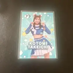 ファイターズガール　トレカ　竹市琴美