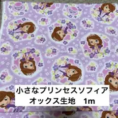 小さなプリンセス　ソフィアのオックス生地1m