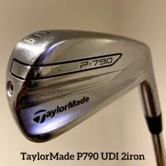 【希少】P790 UDI 2番アイアン × DG105 s200