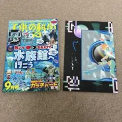 子供の科学 2024年9月号 水族館特集