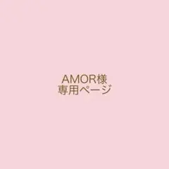 ✴︎AMOR様　専用ページ✴︎