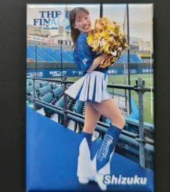 diana FINALS 2024 Shizuku 缶バッジ