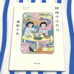 藤野千夜『団地のふたり』