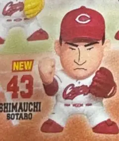 カプケシ　島内颯太郎投手