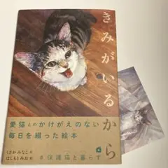 サイン本　きみがいるから　くさかみなこ　はしもとみお　ポストカード付属