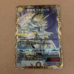 獲銀月ペトローバ　金