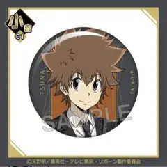 家庭教師ヒットマンreborn! まるくじ 缶バッジ 沢田綱吉