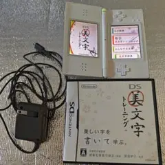 ニンテンドーDSLite本体★通電・ソフト起動確認済★ソフト・充電器付き