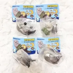 ラッコ ガチャ ターリンカプセルコレクション 水族館 カプセルトイ コンプリート