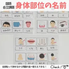 身体部位の名前 モンテッソーリ 知育 療育 発達支援 特別支援 保育