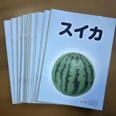 ベビーパーク　オリジナルピクチャーブックレット20冊　くだもの