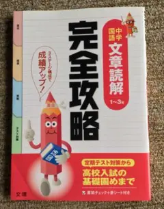 完全攻略 中学 文章読解