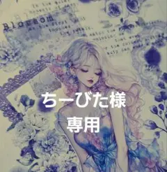 ちーびたさま 専用