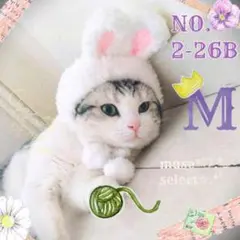 Item thumbnail for item 56302675-d273-409d-aa45-82f0098b2969
