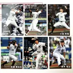 プロ野球チップスカード　2025 千葉ロッテマリーンズ　7枚　⭕️バラ売り　匿名