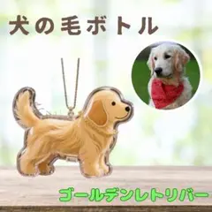 Item thumbnail for item 714fe5fc-c170-4817-bcd2-8c20ae725055