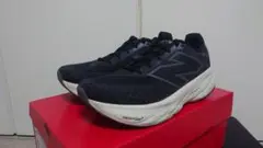 New Balance fresh foam1080 v14