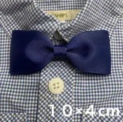 Item thumbnail for item 70e7a5c0-21be-4bd8-8d21-d07fddd897f4