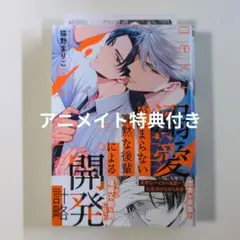 溺愛が止まらない寡黙な後輩による開発計略