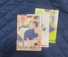 社畜おじさん触手を買う　五梅えるこ 小冊子