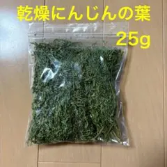 Item thumbnail for item 920866a3-c108-40a2-b234-bb7394f06b7e