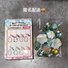 ポチャッコ トコナツバケーションデザインシリーズ シークレットストラップ