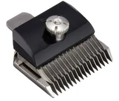 Item thumbnail for item d1a79e93-2d08-4f62-a059-670f35654e34