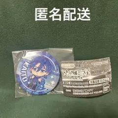 マジカルミライ2025　ガチャガチャ　初音ミクあそーと　KAITO 缶バッジ