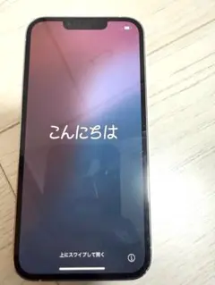 iPhone13Pro 本体