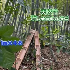 2025年最新】流し素麺 竹の人気アイテム - メルカリ