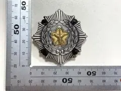 Item thumbnail for item 69e04656-17a3-4fe9-b7dc-b42d754a8446