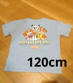 ★パウ・パトロール キッズ Tシャツ 120cm