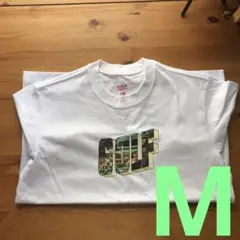 Item thumbnail for item 68acd47c-aa4b-41f3-a96b-fd698360a86b