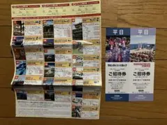 グランイルミu0026ニューヨークランプミュージアム 平日 ペア招待券