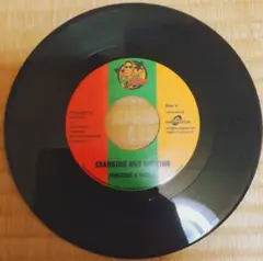 SANKING AND ROCKING  PROTOJE・J BOOG