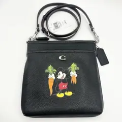 【極美品】DISNEY X COACH コーチ バッグ チャーム 100周年限定 コーチ COACH コーチ キーホルダー COACH アウトレット